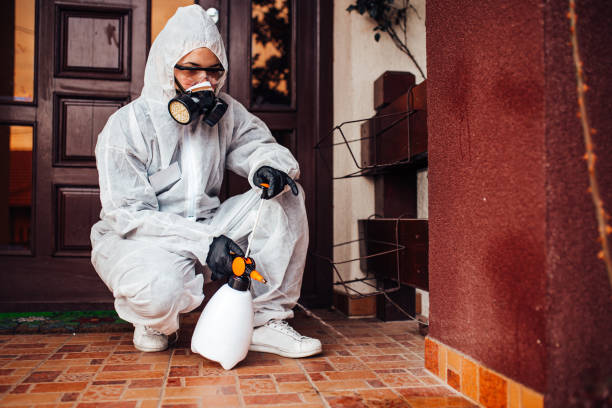 Attic and Crawl Space Rodent Treatment in East Bethel